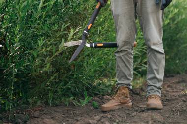 Person steht vor eine Hecke. In der rechten Hand eine Heckenschere.